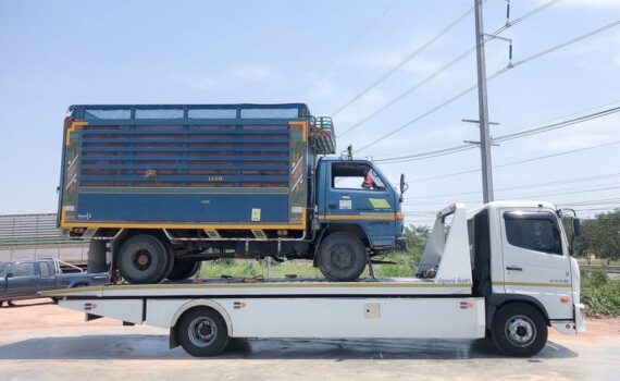 432615949 122134319672152314 6670714182577151699 n