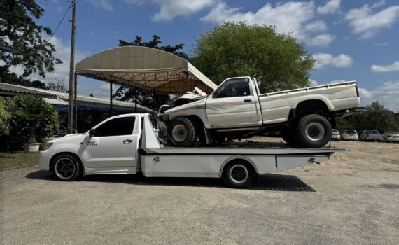 437724607 122142066746152314 2131134423016862229 n