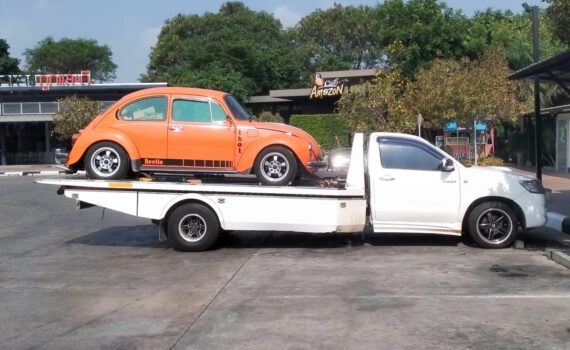 437904576 122142069614152314 3088032200531549822 n