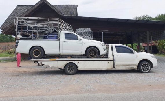 450556993 122164980488152314 1187251688674851067 n